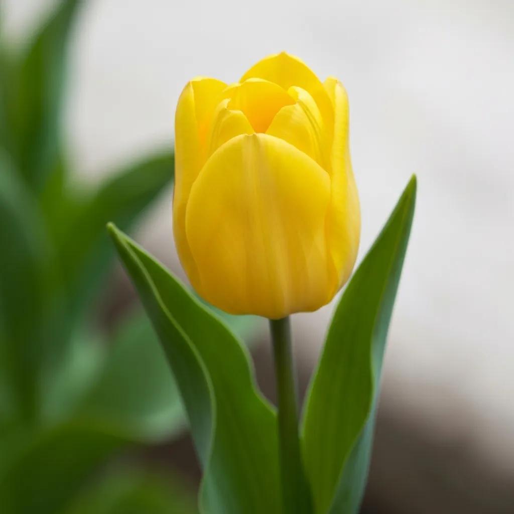 Close-up of accordion shutter materials and color samples for contemporary homes