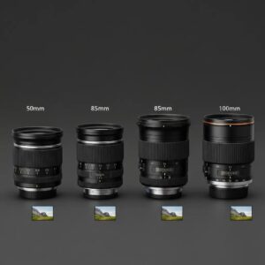 Side-by-side comparison of hurricane protection options including accordion and roll-down shutters