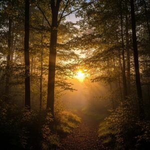Homeowner cleaning and inspecting accordion shutter tracks and panels