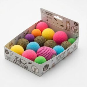 Modern home with roll down hurricane shutters showcasing coastal protection features